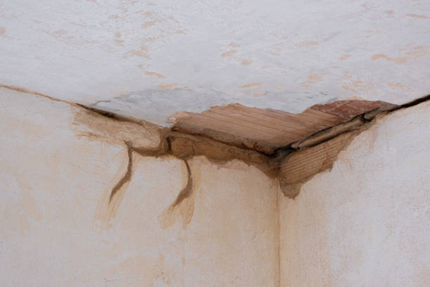 Best 24-hour water damage restoration  in Rosewood Heights, IL