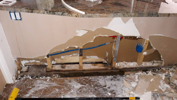Best Residential water damage restoration  in Rosewood Heights, IL