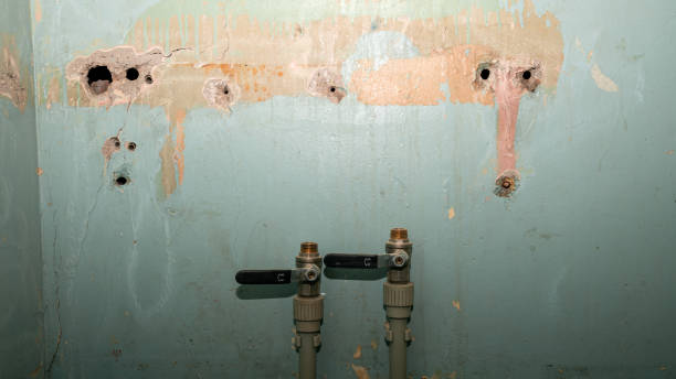 Best Emergency water damage restoration  in Rosewood Heights, IL