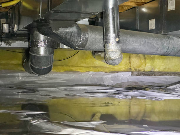  Rosewood Heights, IL Water damage restoration Pros