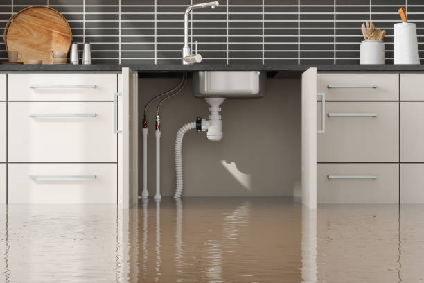 Best Water damage restoration near me  in Rosewood Heights, IL