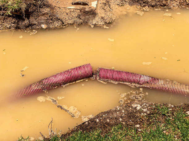 Best Water damage restoration cost  in Rosewood Heights, IL