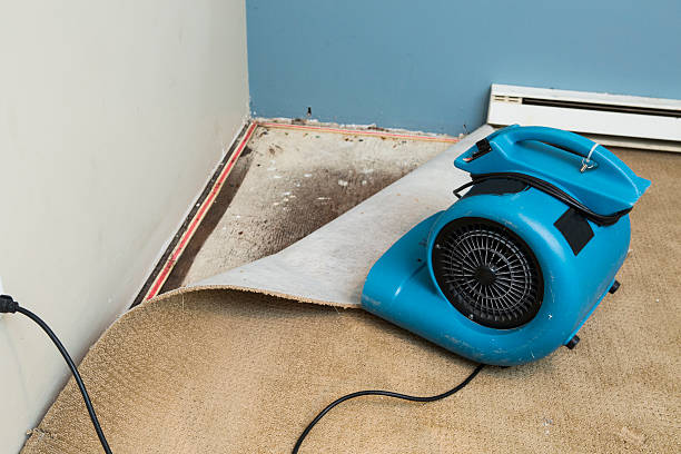 Best Flood restoration services  in Rosewood Heights, IL